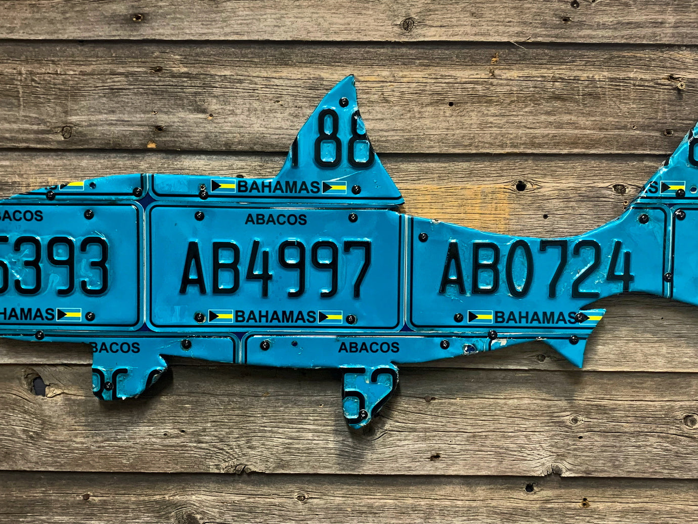Bahamas Bonefish License Plate Art - Turquoise