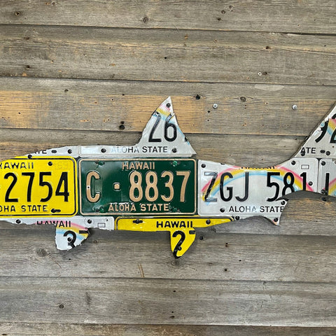 Hawaii License Plate Art