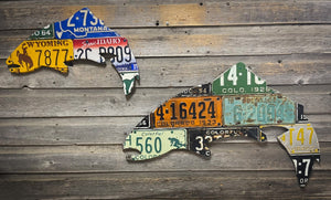 24" Mixed Western State Trout License Plate Art - Ready-To-Ship