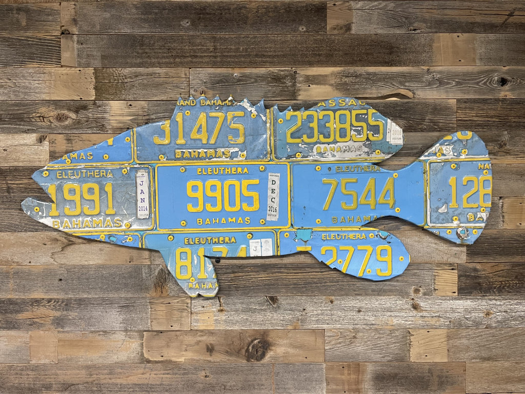 Bahamas Grouper