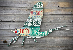 Colorado Mayfly License Plate Art