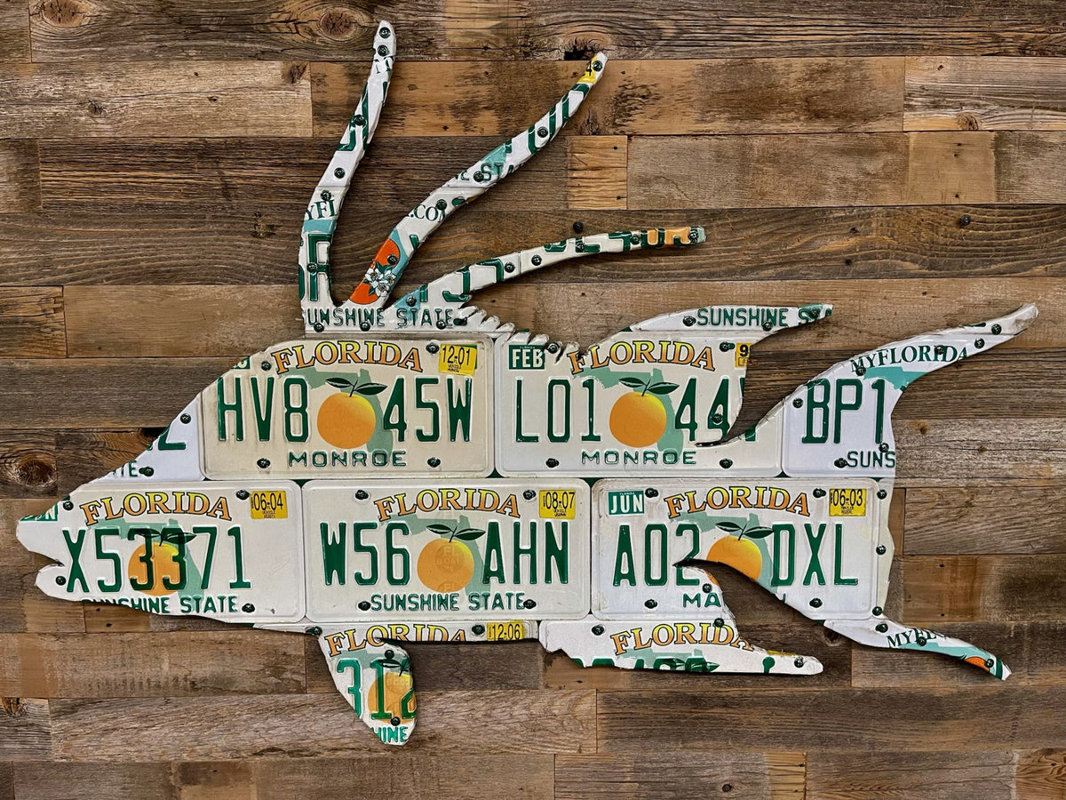 Ready-To-Ship– Cody's Fish