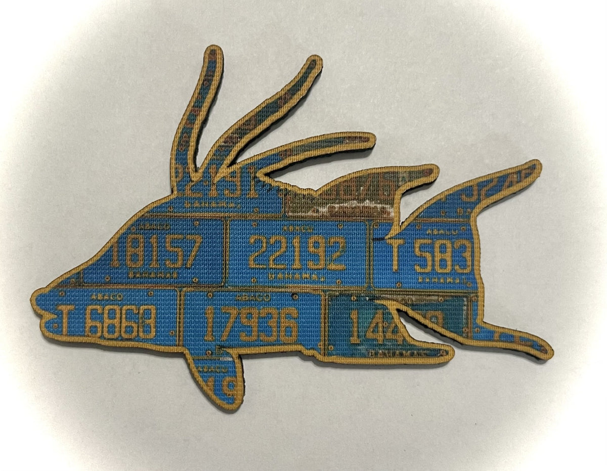 Fish Hats– Cody's Fish