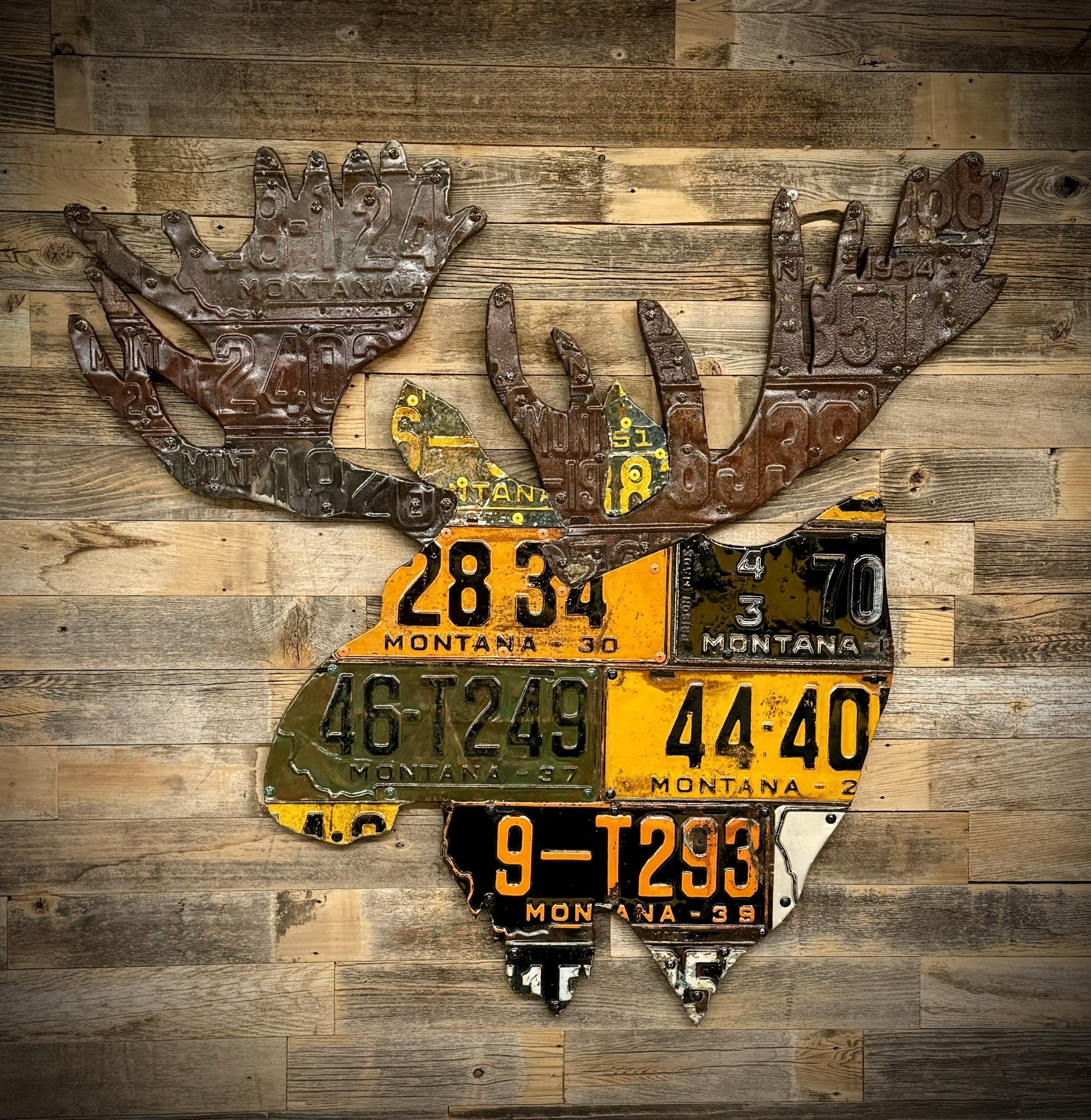 Montana Moose License Plate Art– Cody's Fish
