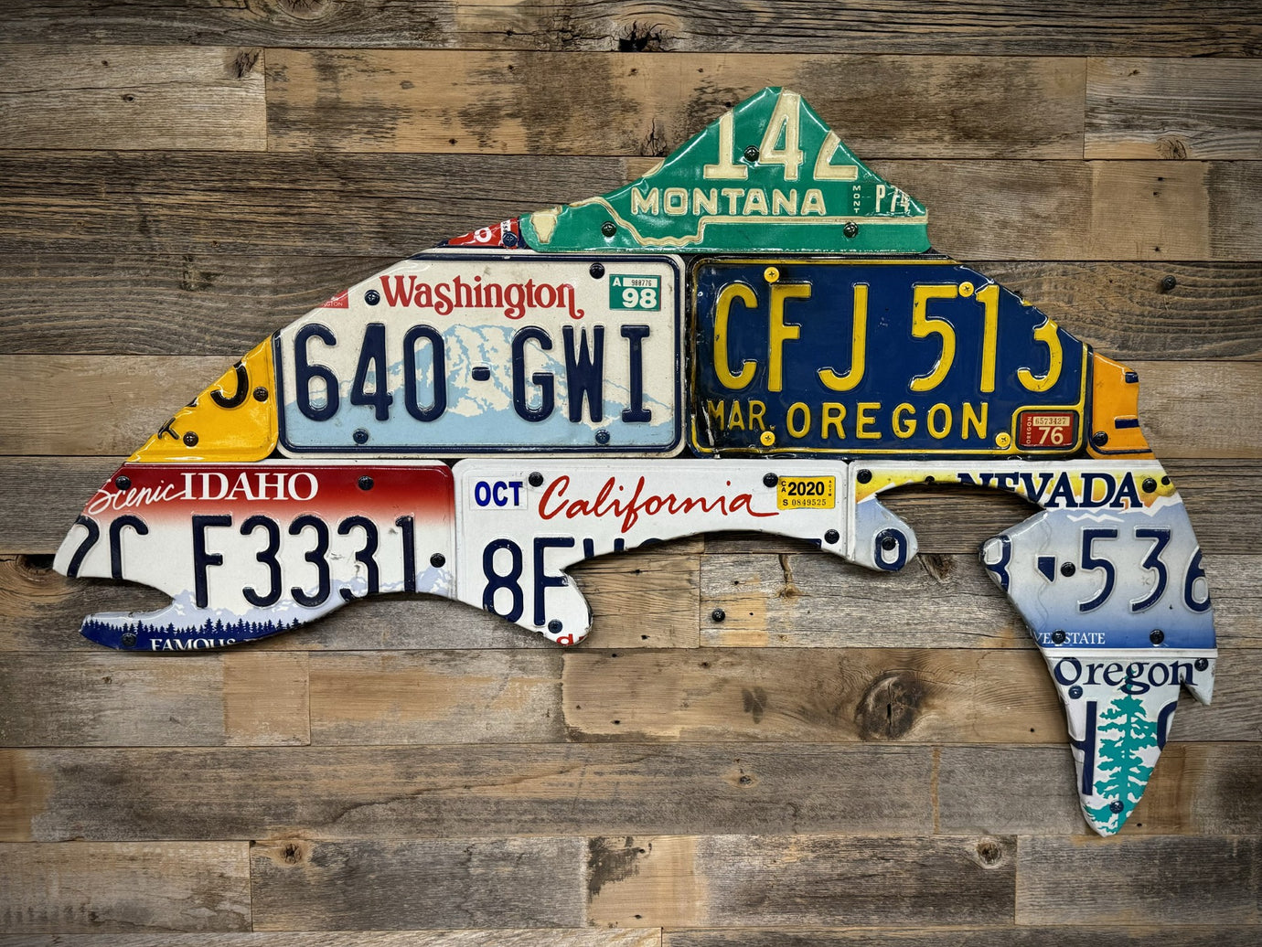 Mixed Pacific Northwest Trout License Plate Art - Ready-To-Ship