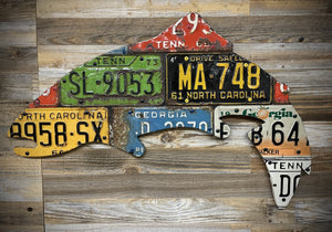 Mixed Southeast Antique Trout License Plate Art