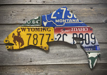 24" Mixed Western State Trout License Plate Art