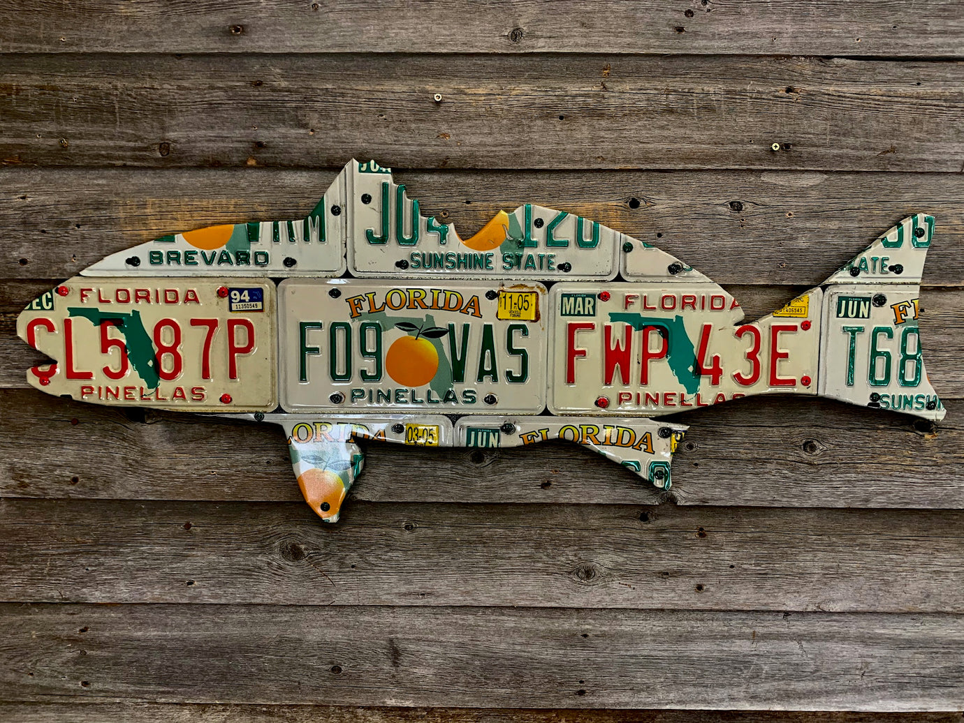 Florida Orange Redfish License Plate Art