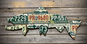 42" Vintage Colorado Brown Trout