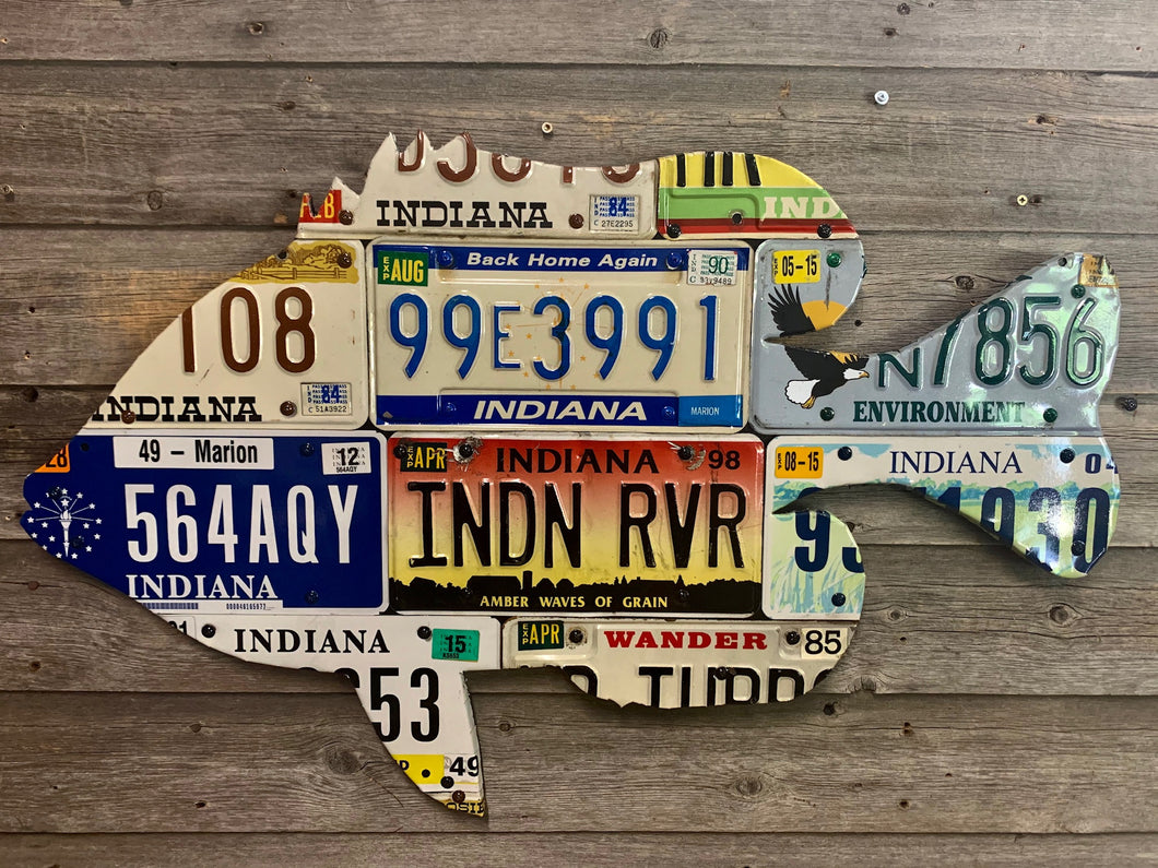 Indiana Sunfish License Plate Art