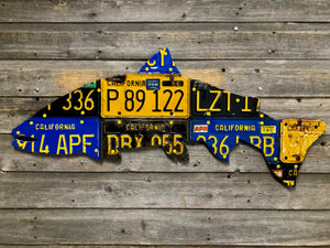 California Steelhead License Plate Art