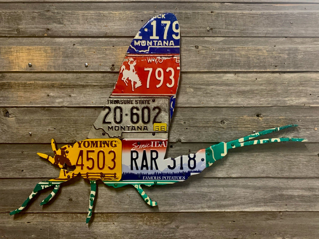 Mixed Western Mayfly License Plate Art - Ready-To-Ship