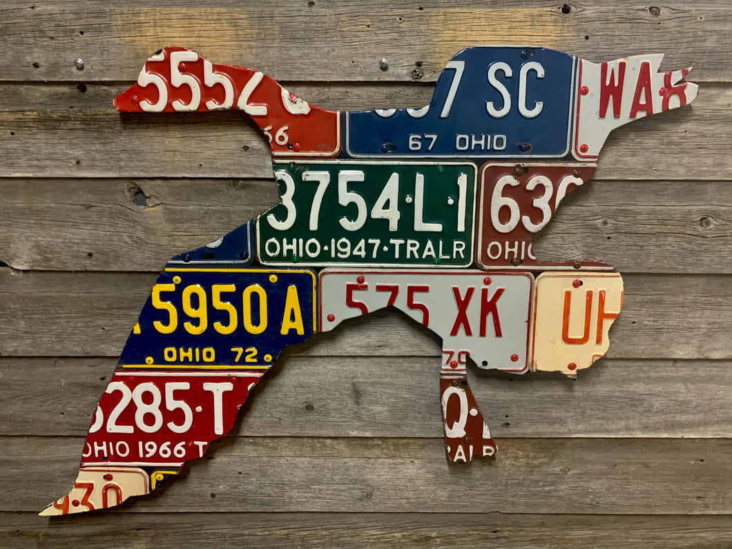 Ohio Goose License Plate Art