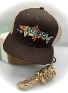 Colorado Brown Trout Hat Collection