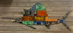 Florida Sailfish License Plate Art