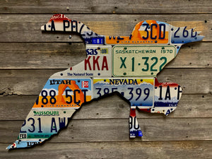 Mixed State Goose License Plate Art