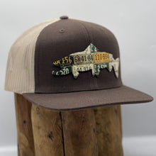 Idaho Brown Trout Hat Collection