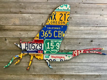 Mixed Western Mayfly License Plate Art