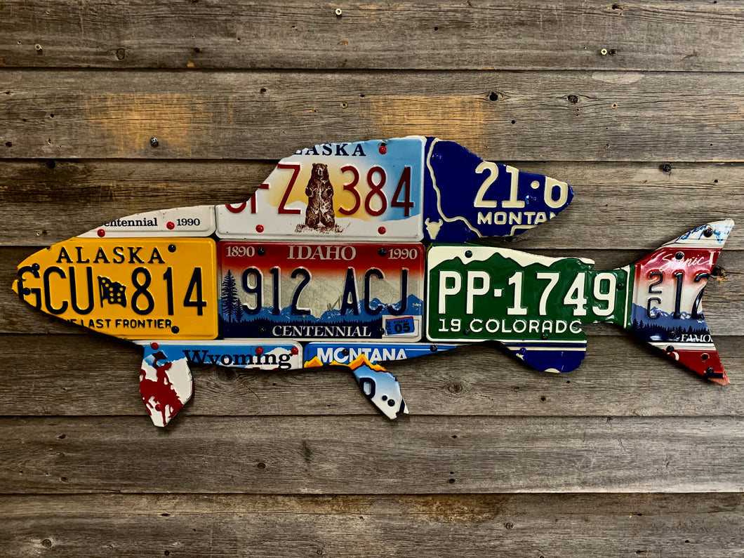 Mixed Western Grayling License Plate Art