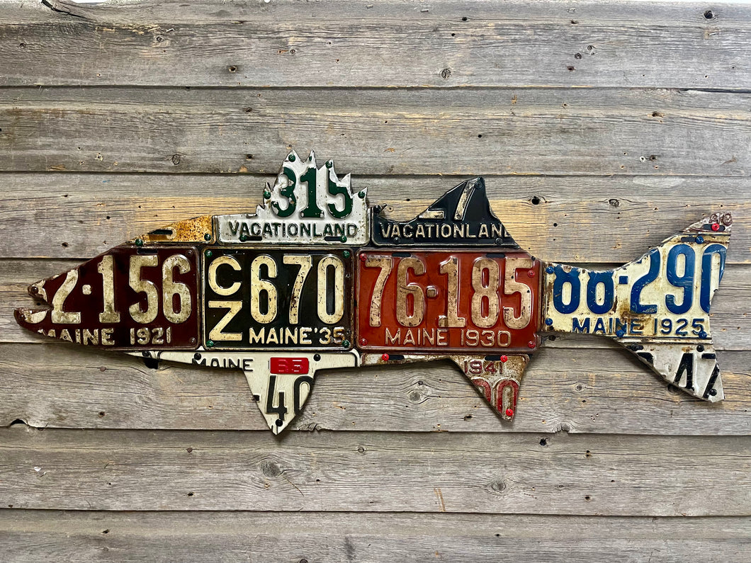 Maine Antique Striped Bass License Plate Art