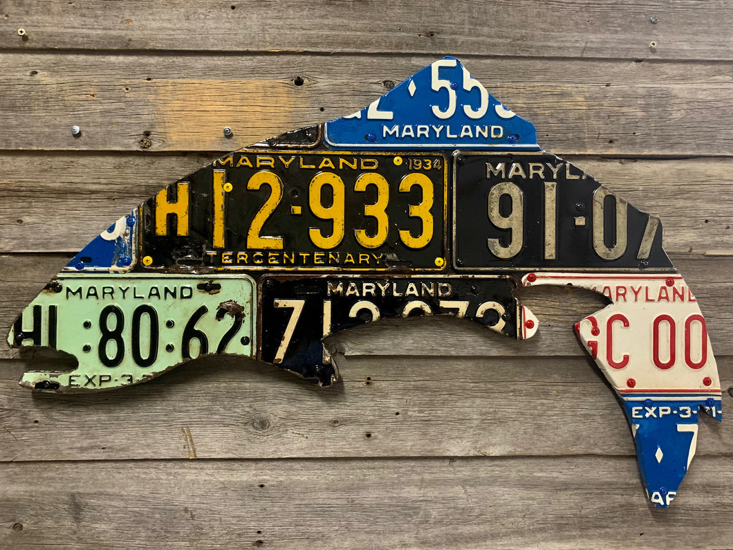 Maryland Trout Antique License Plate Art