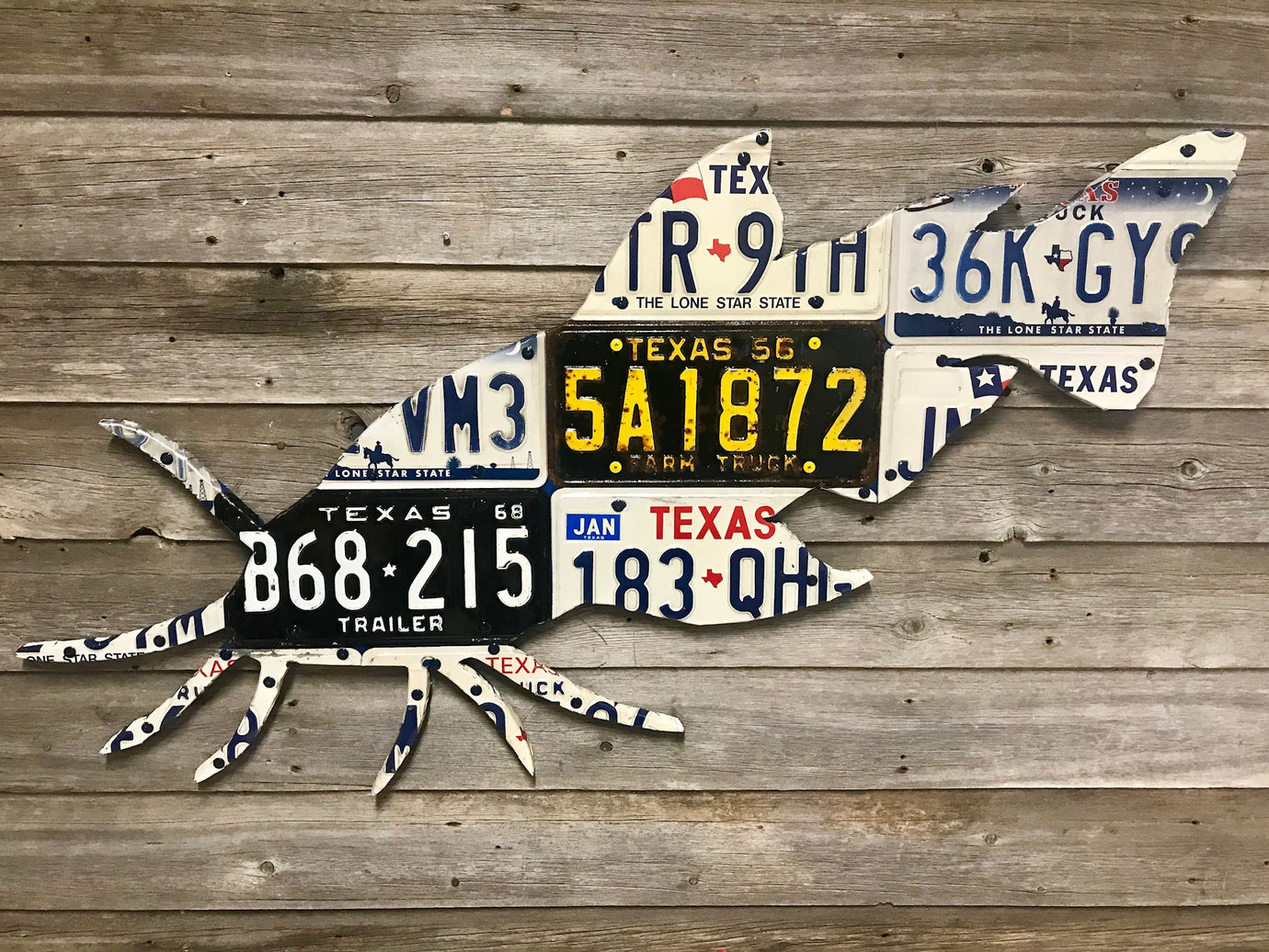 Texas Catfish License Plate Art