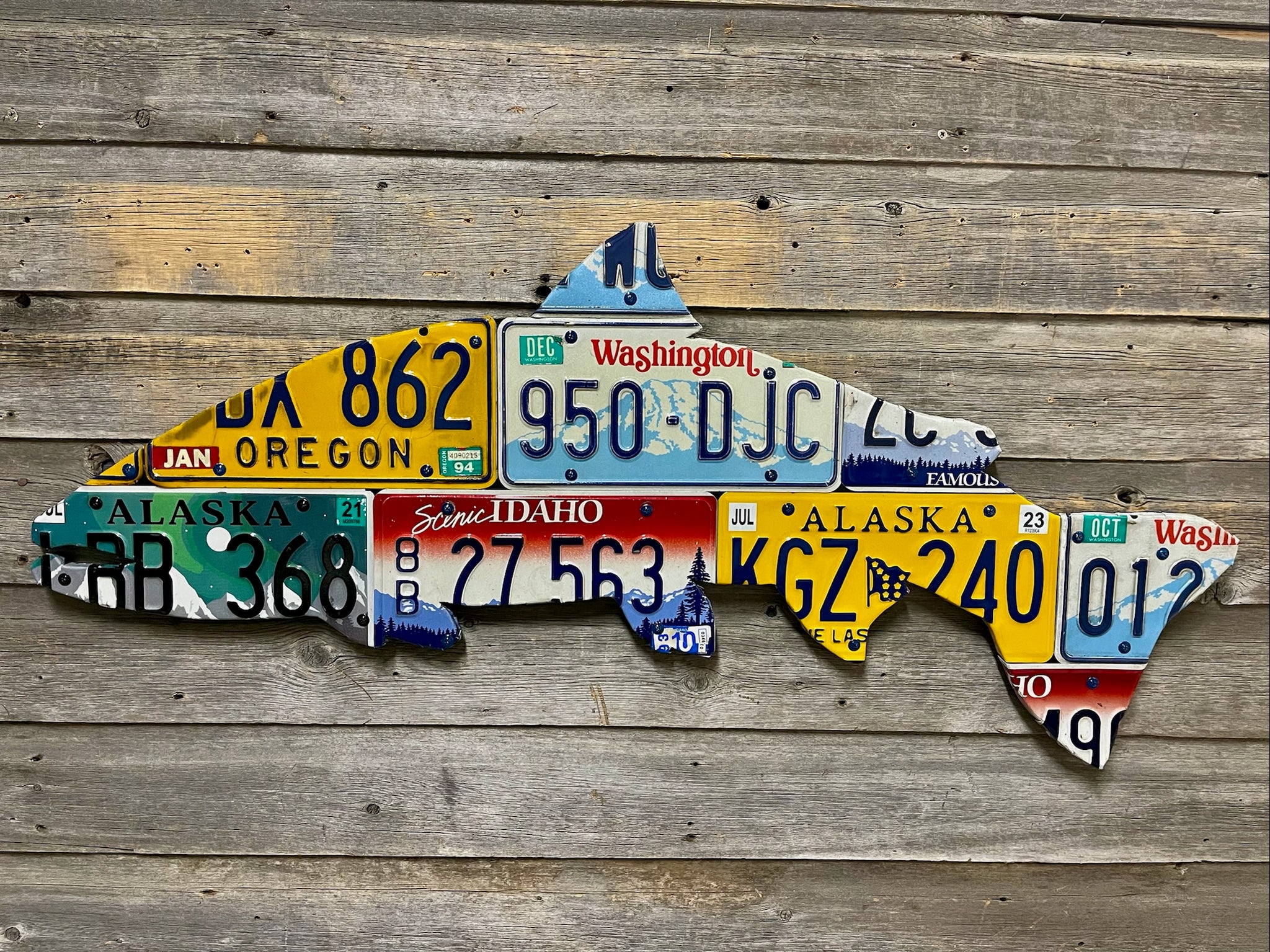 Mixed Pacific Northwest Steelhead License Plate Art – Cody's Fish