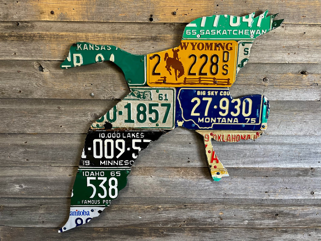 Central Flyway Goose License Plate Art