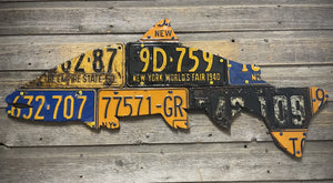 New York Steelhead License Plate Art