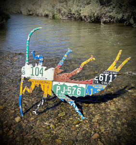 Mixed Western Stonefly License Plate Art