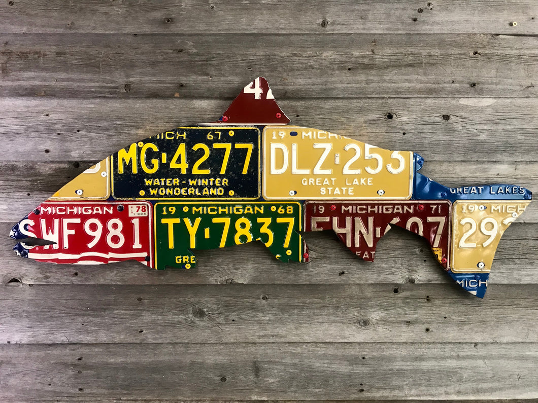 Michigan Steelhead License Plate Art