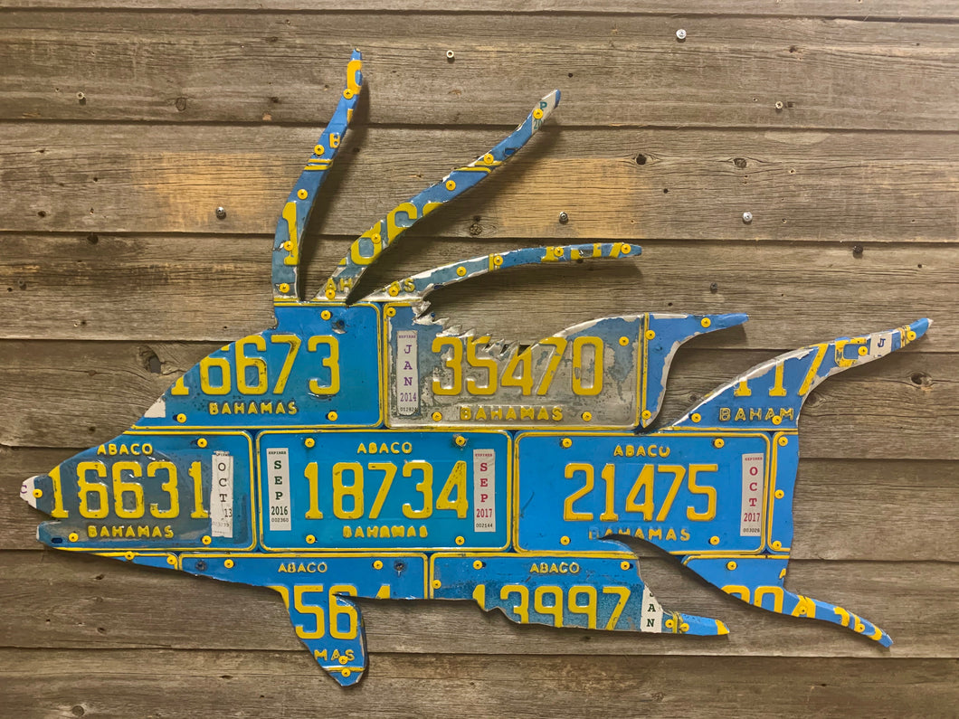 Bahamas Hogfish License Plate Art