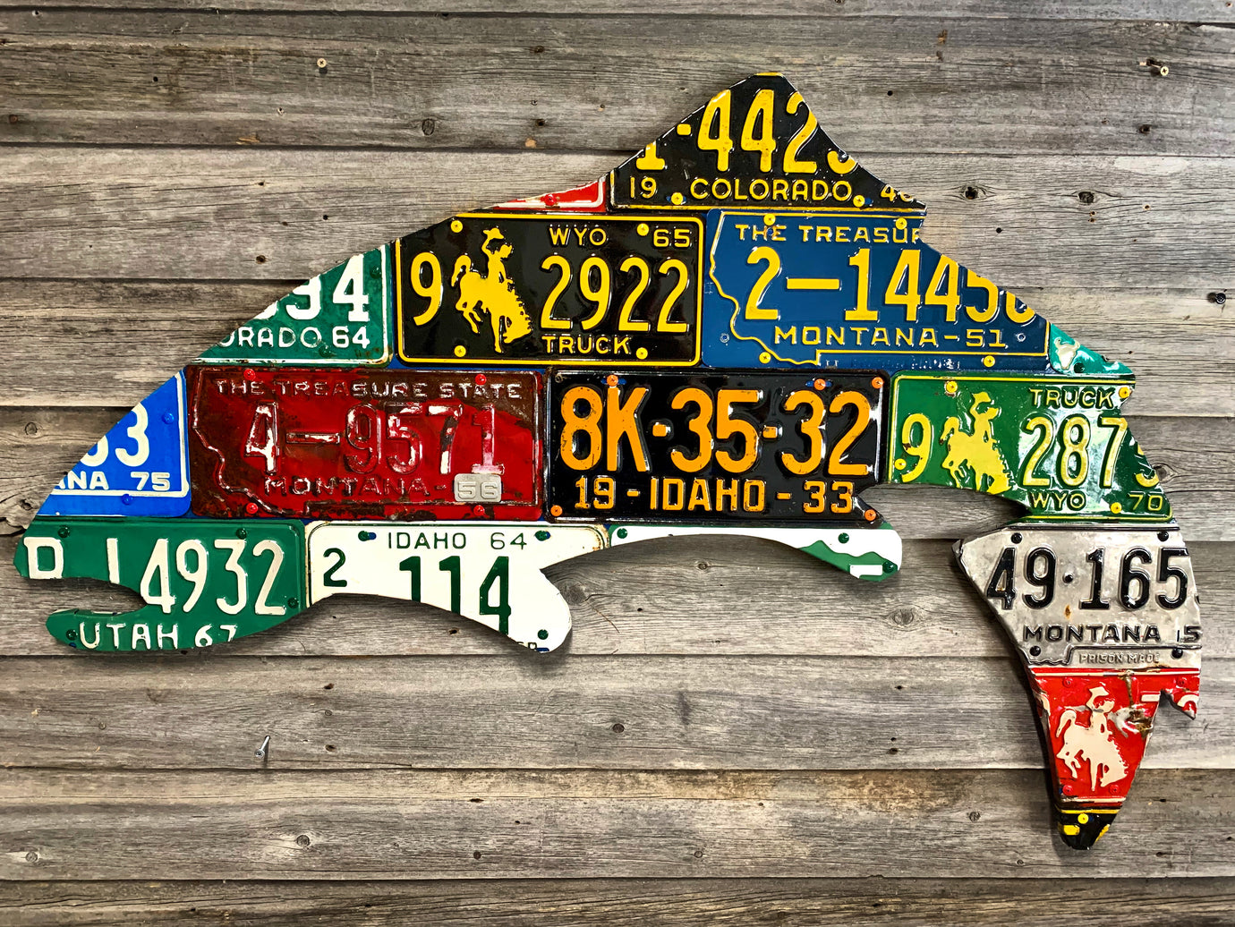 Large Antique 4-Foot Mixed Western Trout License Plate Art