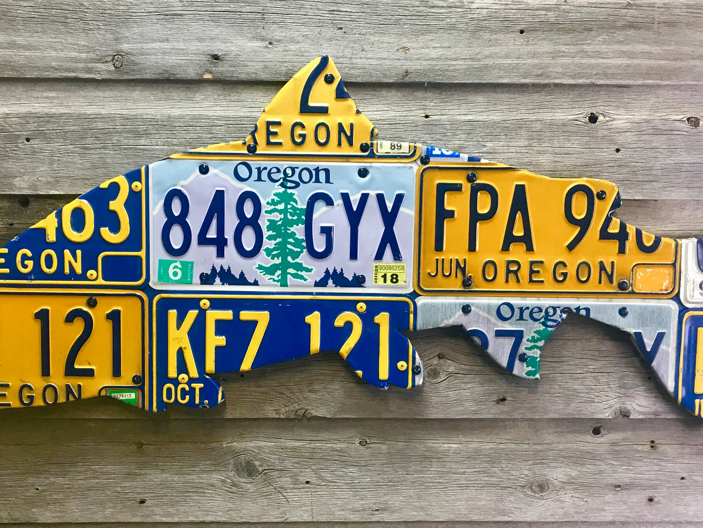 Oregon Steelhead License Plate Art