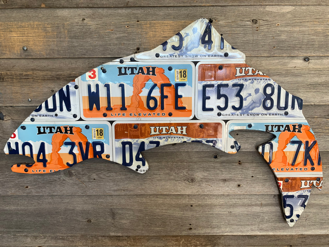 Utah Trout License Plate Art