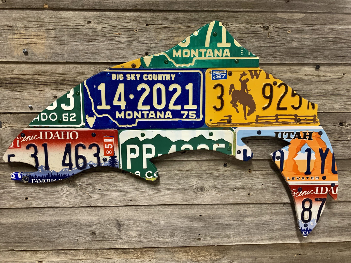 Mixed Western State Trout License Plate Art