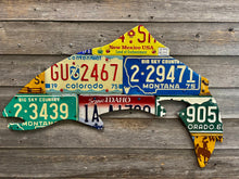 Mixed Western State Trout License Plate Art - Ready-To-Ship