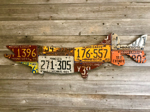 Minnesota Pike/Muskie License Plate Art